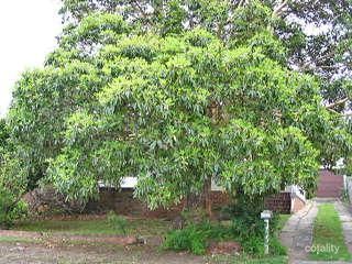 6 Strone Ave, Mount Ousley, NSW 2519