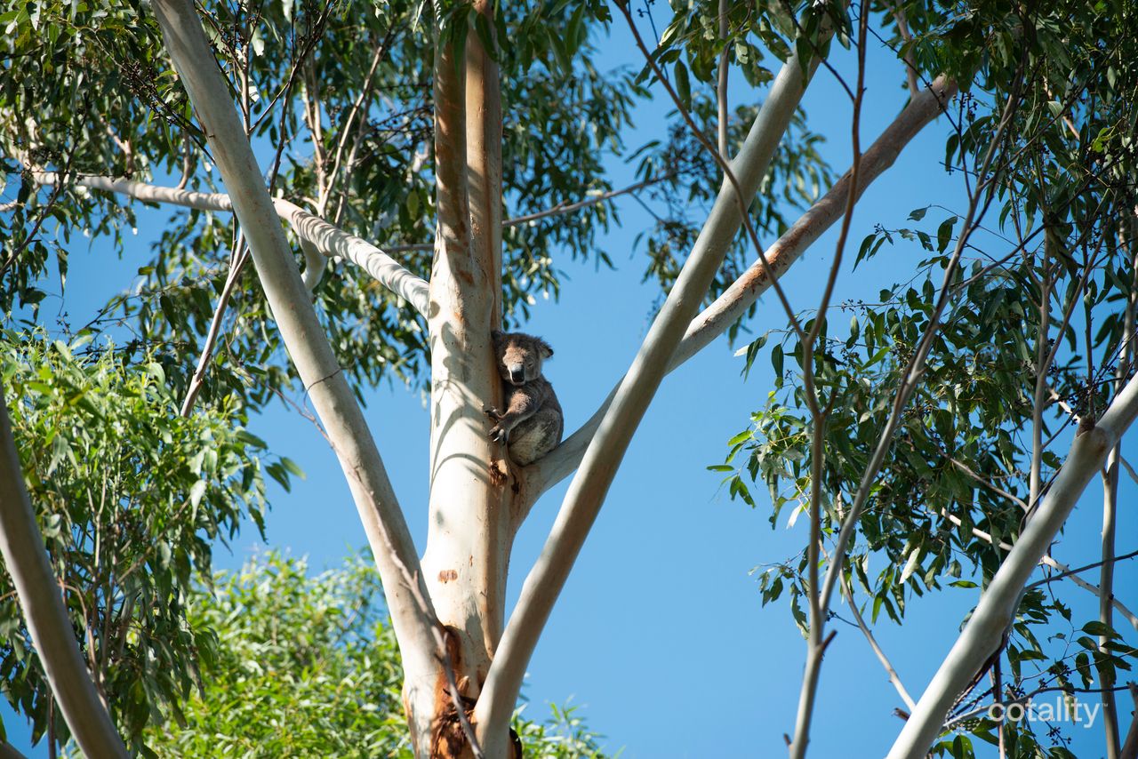 53 King Valley Dr, Taree, NSW 2430