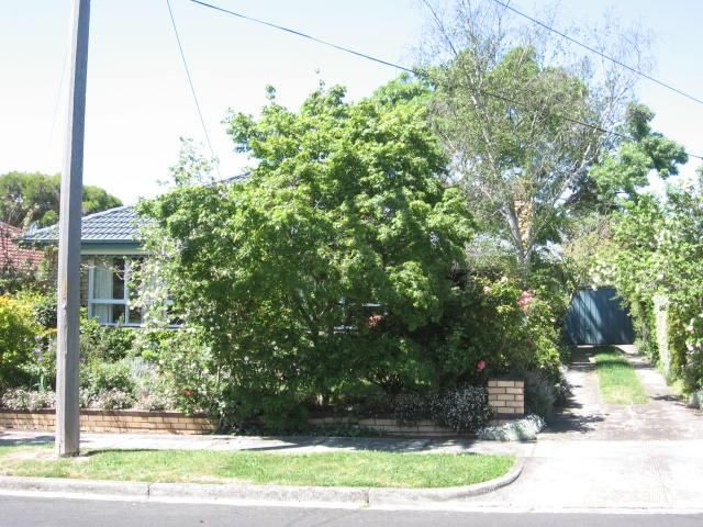 7 Blue Hills Ave, Nunawading, VIC 3131