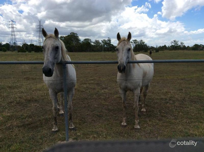 205 Youngs Rd, Hemmant, QLD 4174