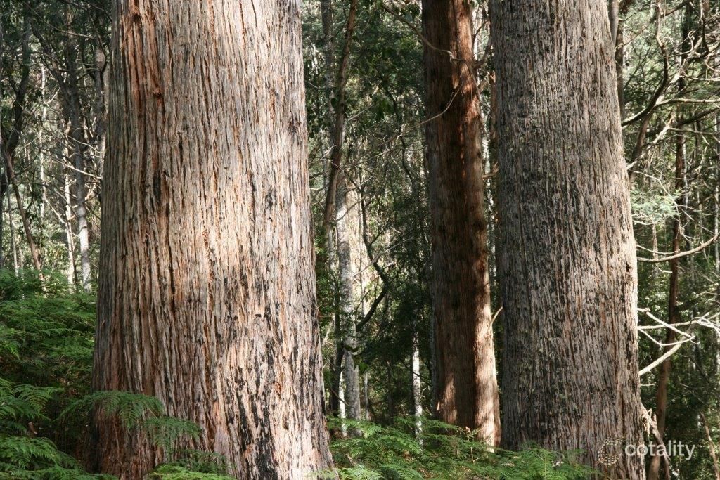 3000 Jacksons Rd, Franklin, TAS 7113