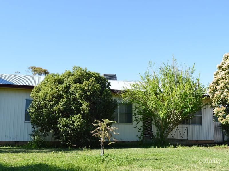 38 Bobs St, Gilgandra, NSW 2827