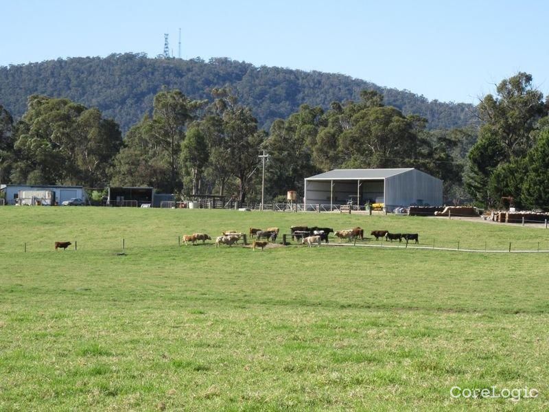 46 Sandy Flat Rd, Brodribb River, VIC 3888