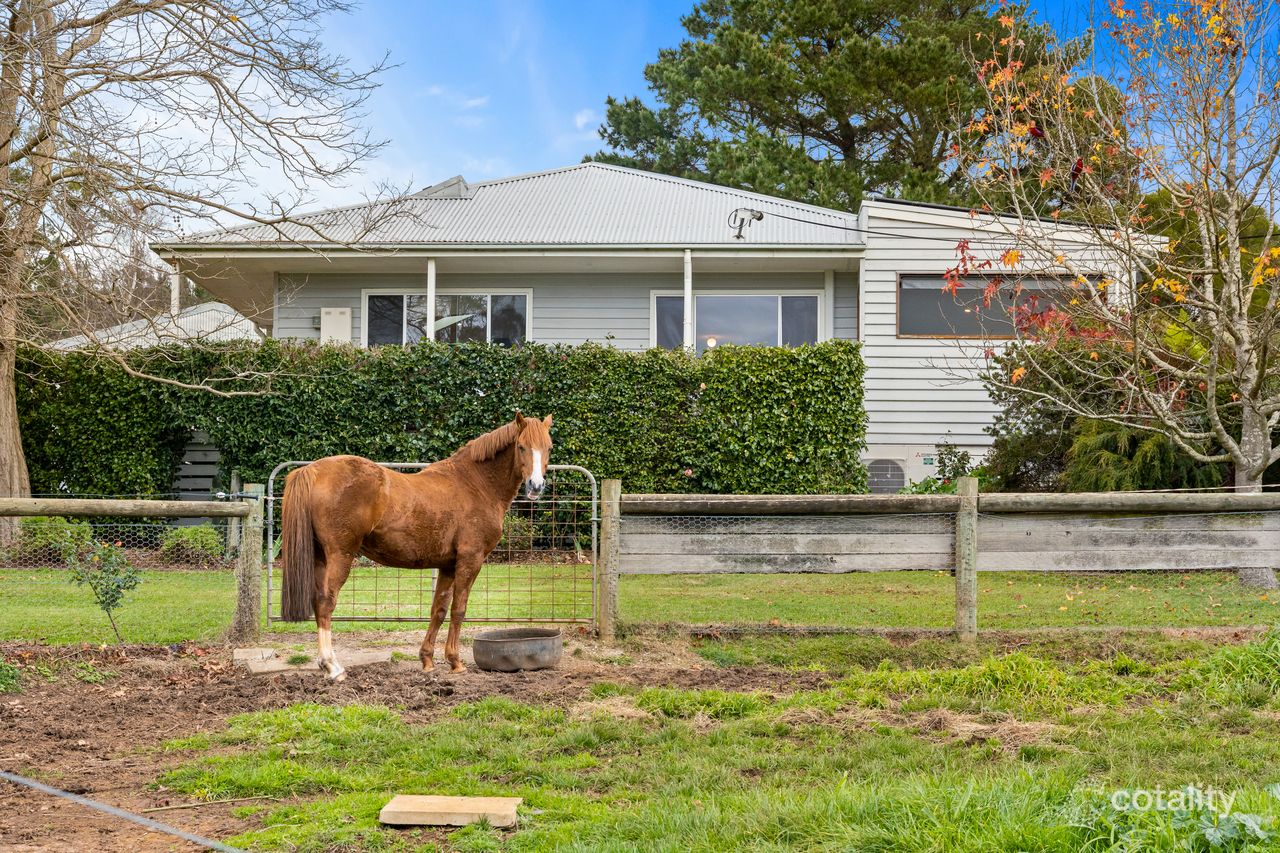 1915 Strzelecki Hwy, Delburn, VIC 3871