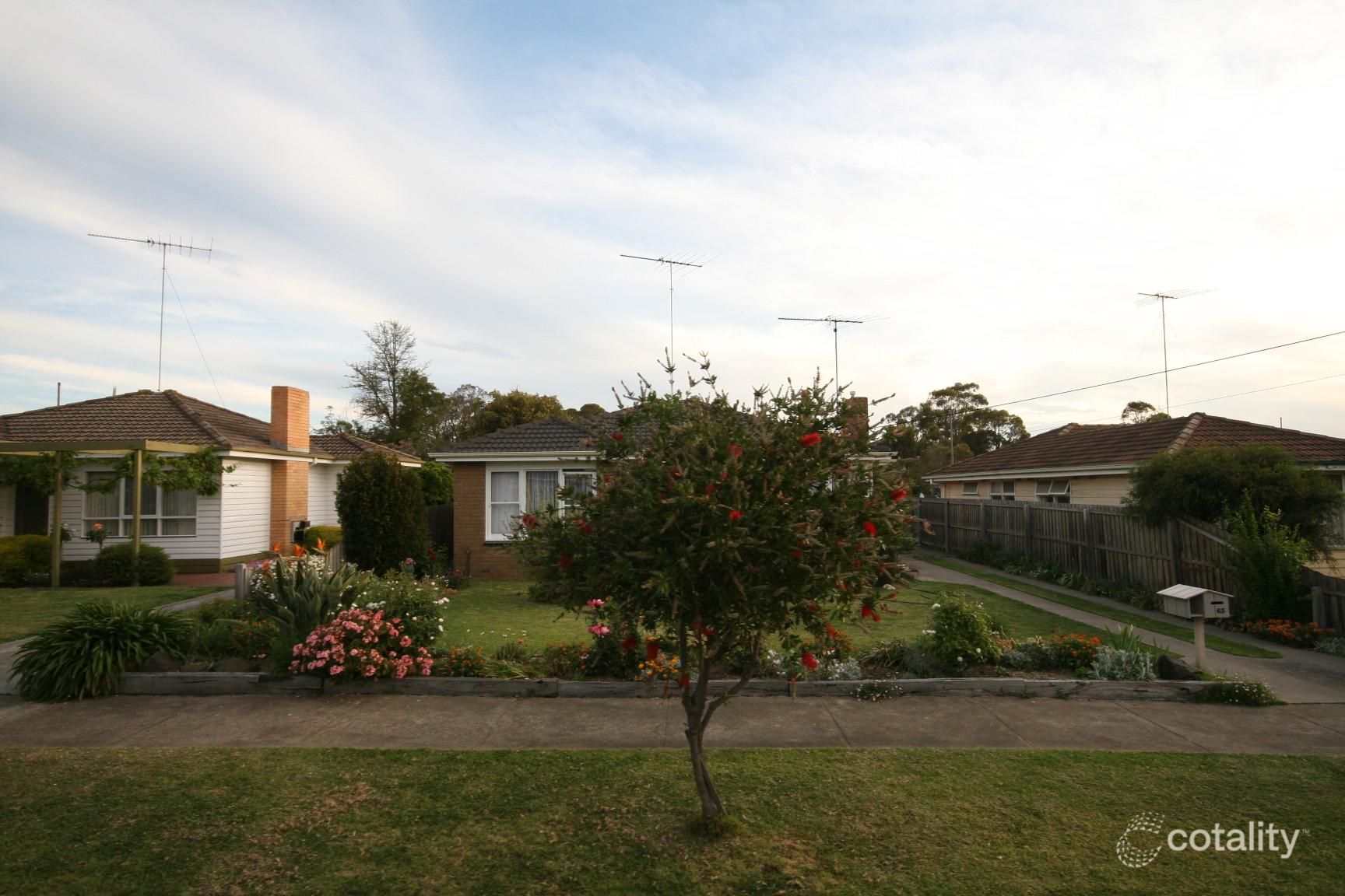 63 Davis St, Belmont, VIC 3216