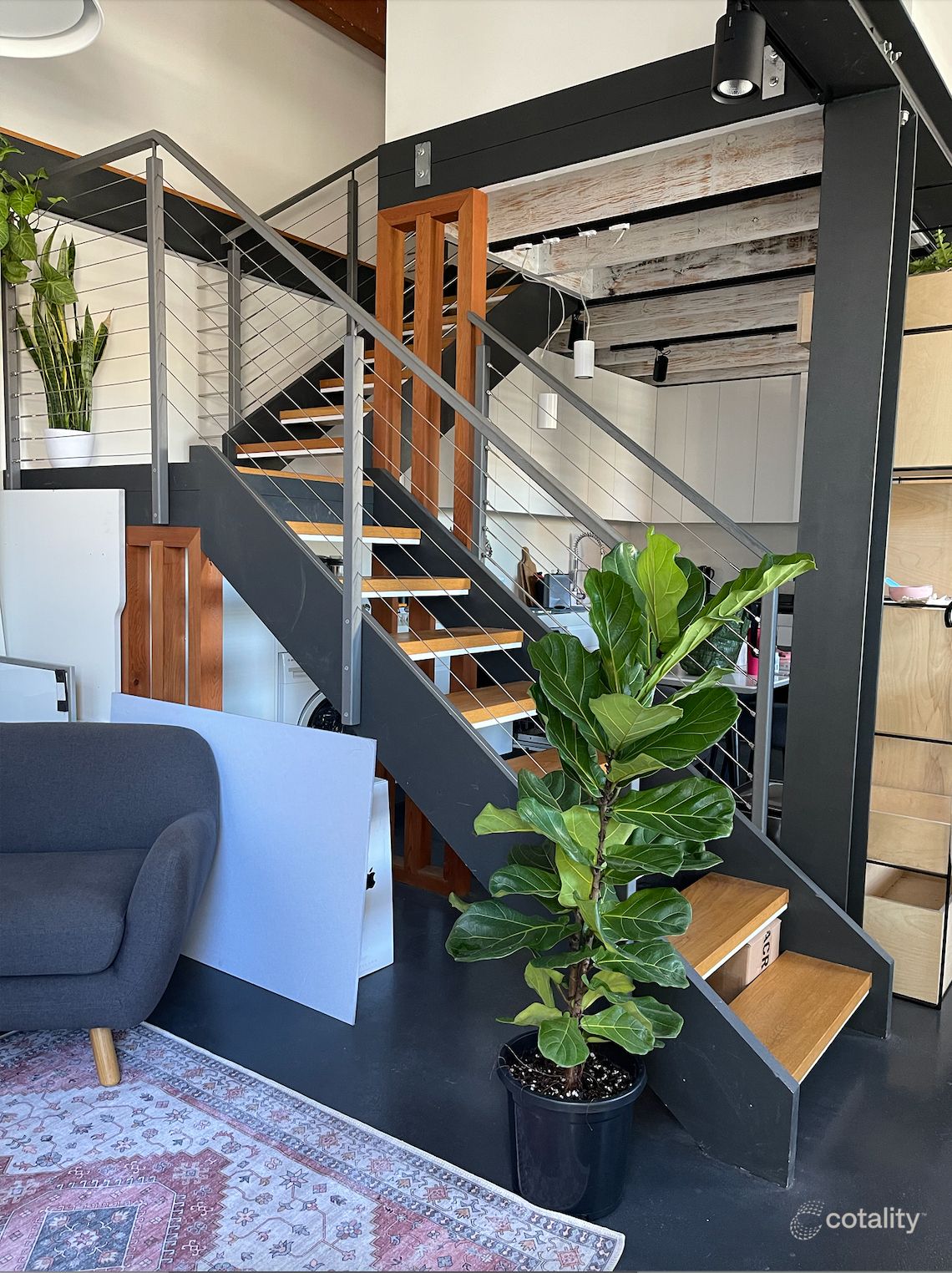 206t Alison Rd, Randwick, NSW 2031