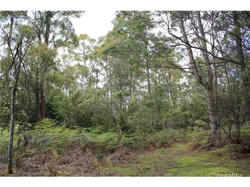 109253 Snug Tiers Rd, Snug, TAS 7054