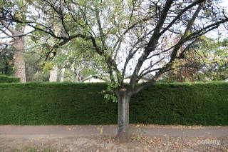 81 Fisher St, Fullarton, SA 5063