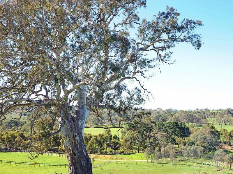 458 Military Rd, Brukunga, SA 5252