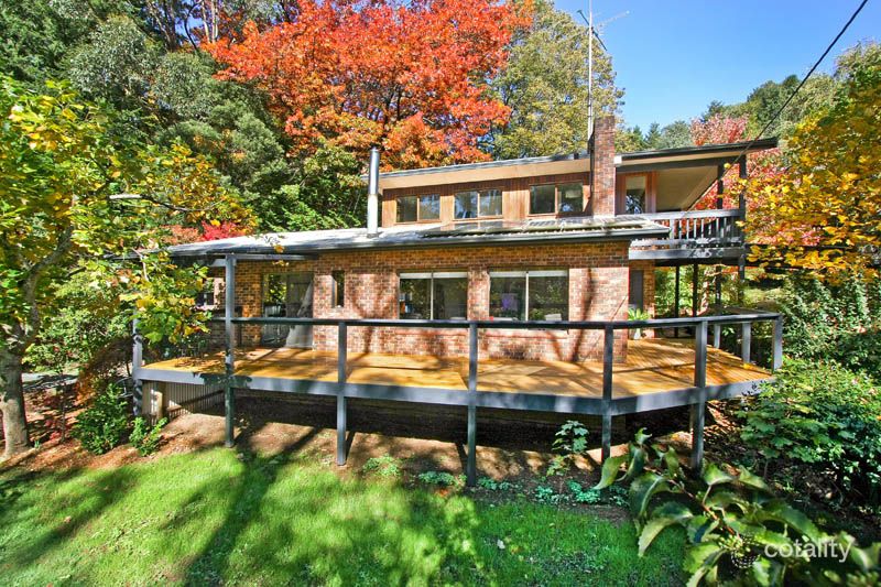 1707 Healesville-Kinglake Rd, Toolangi, VIC 3777