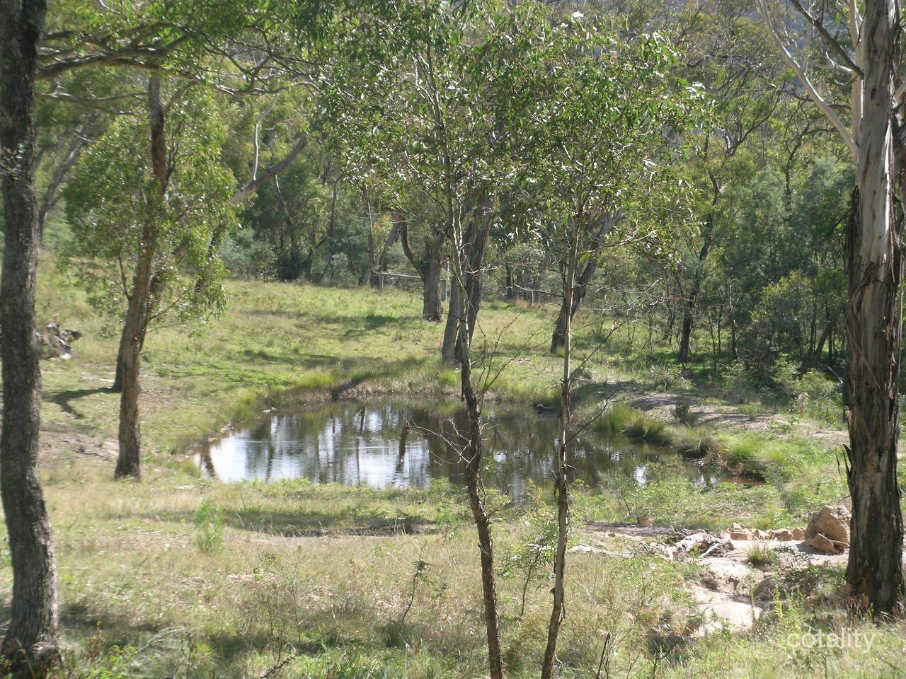 41 Borrowpit Rd, Meadow Flat, NSW 2795