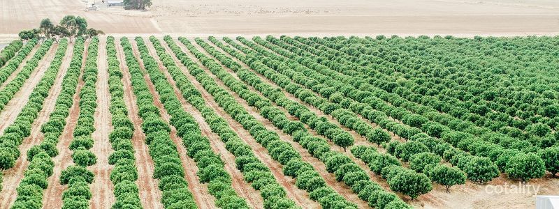 65 Orchard Rd, Booborowie, SA 5417