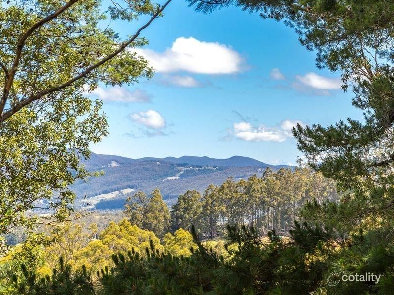 40 Wolfes Rd, Neika, TAS 7054