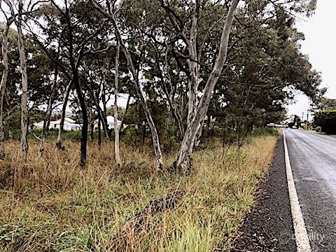 13 Castlereagh Hwy, Capertee, NSW 2846