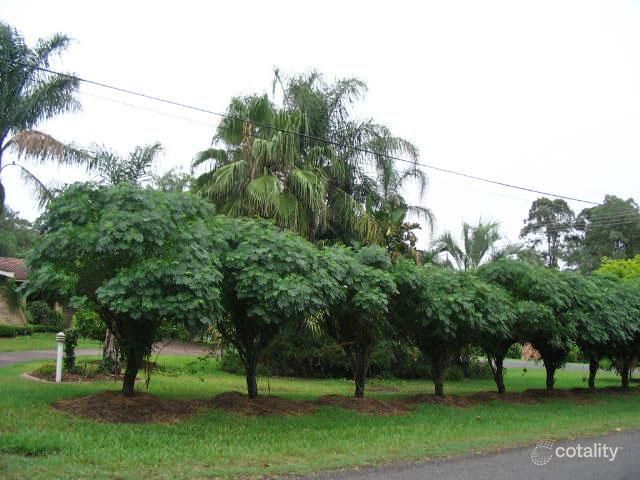 27 Blackwood Rd, Vineyard, NSW 2765