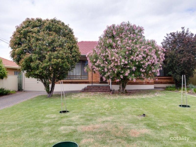 16 Pope St, Newton, SA 5074