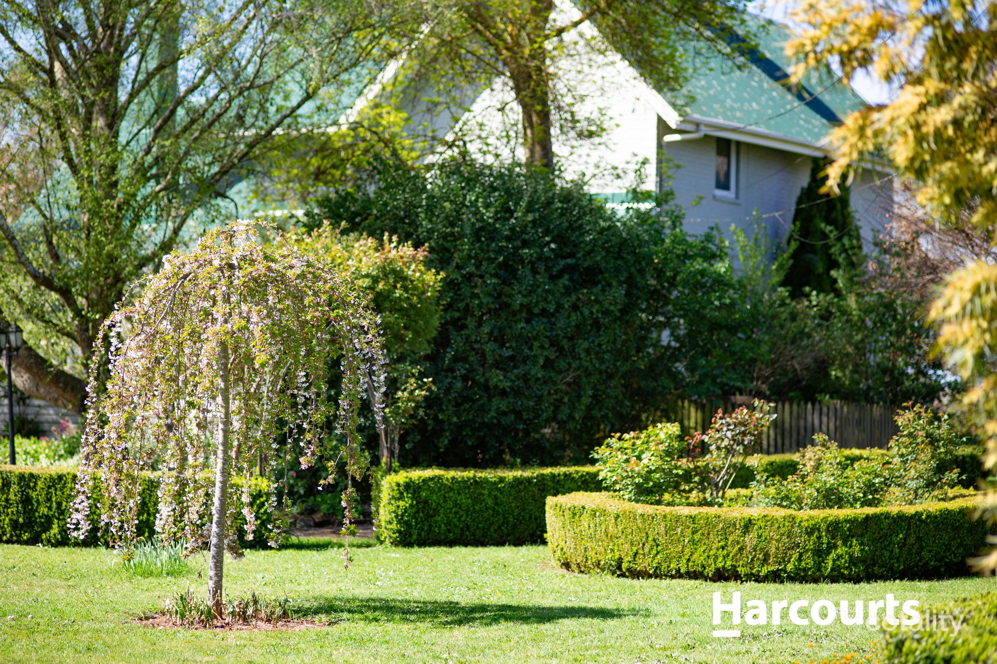 44a Grigg St, Deloraine, TAS 7304