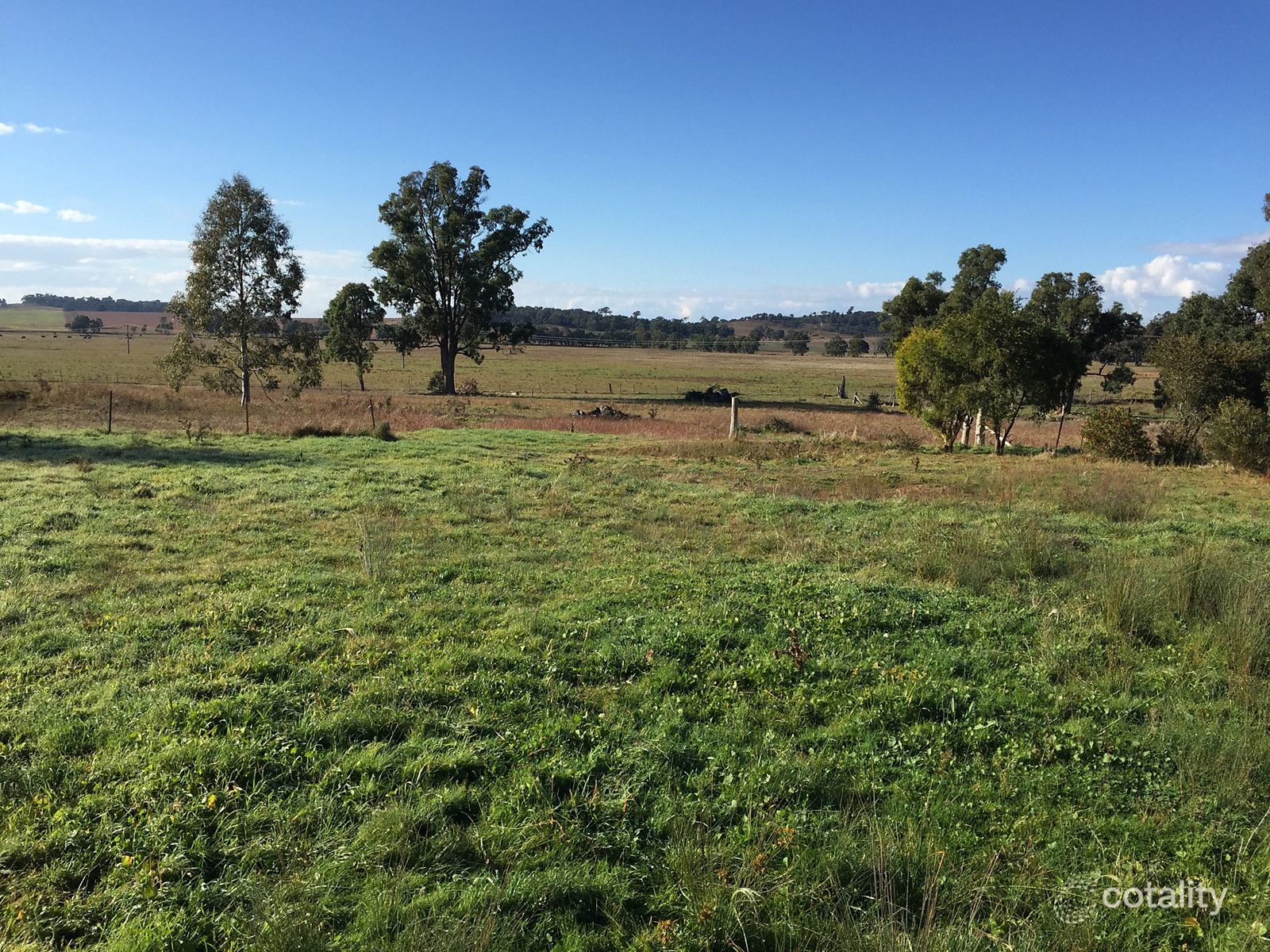 42 Suzanne Rd, Tallawang, NSW 2852