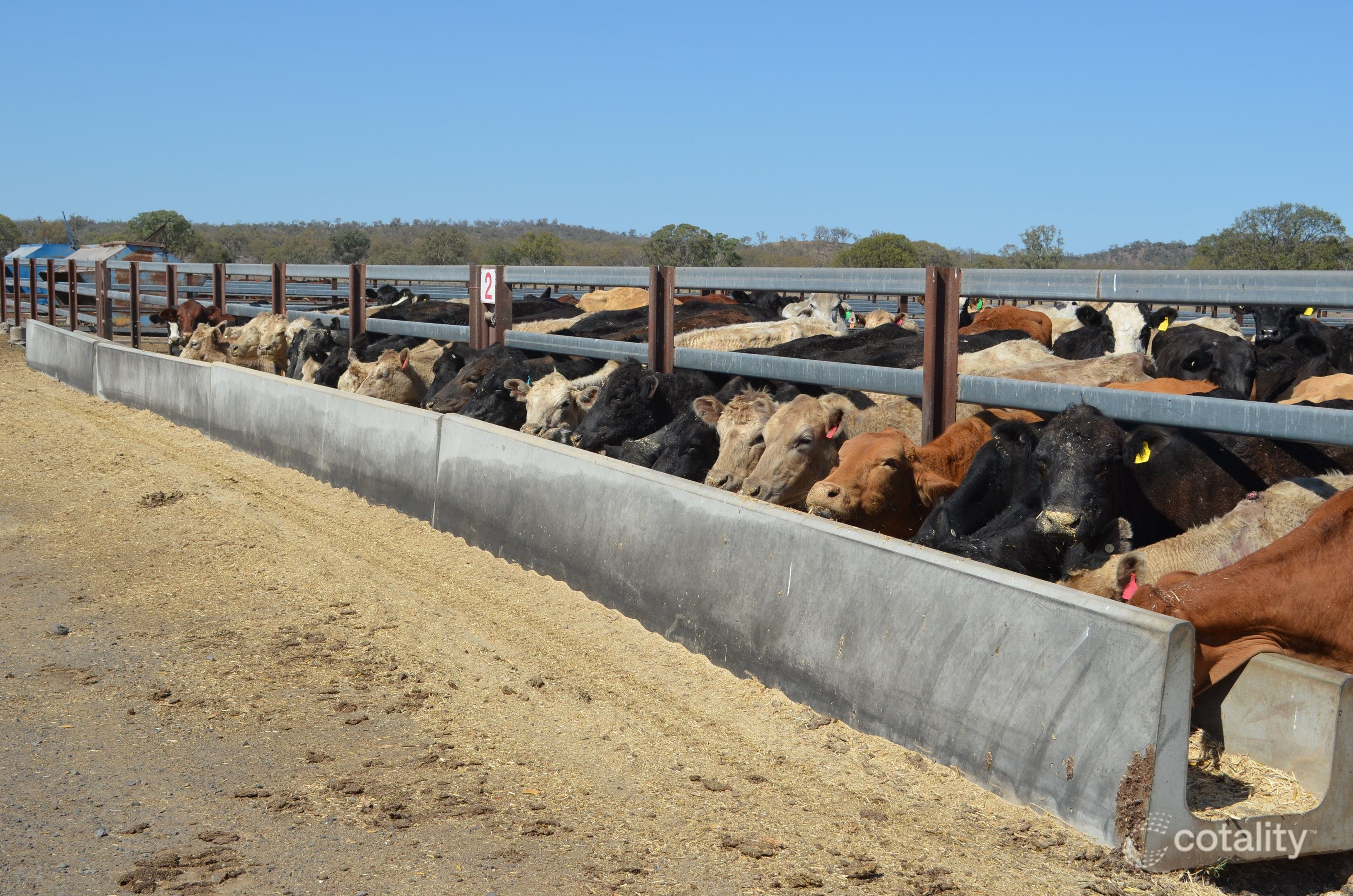 102 Crighton Rd, Biddeston, QLD 4401