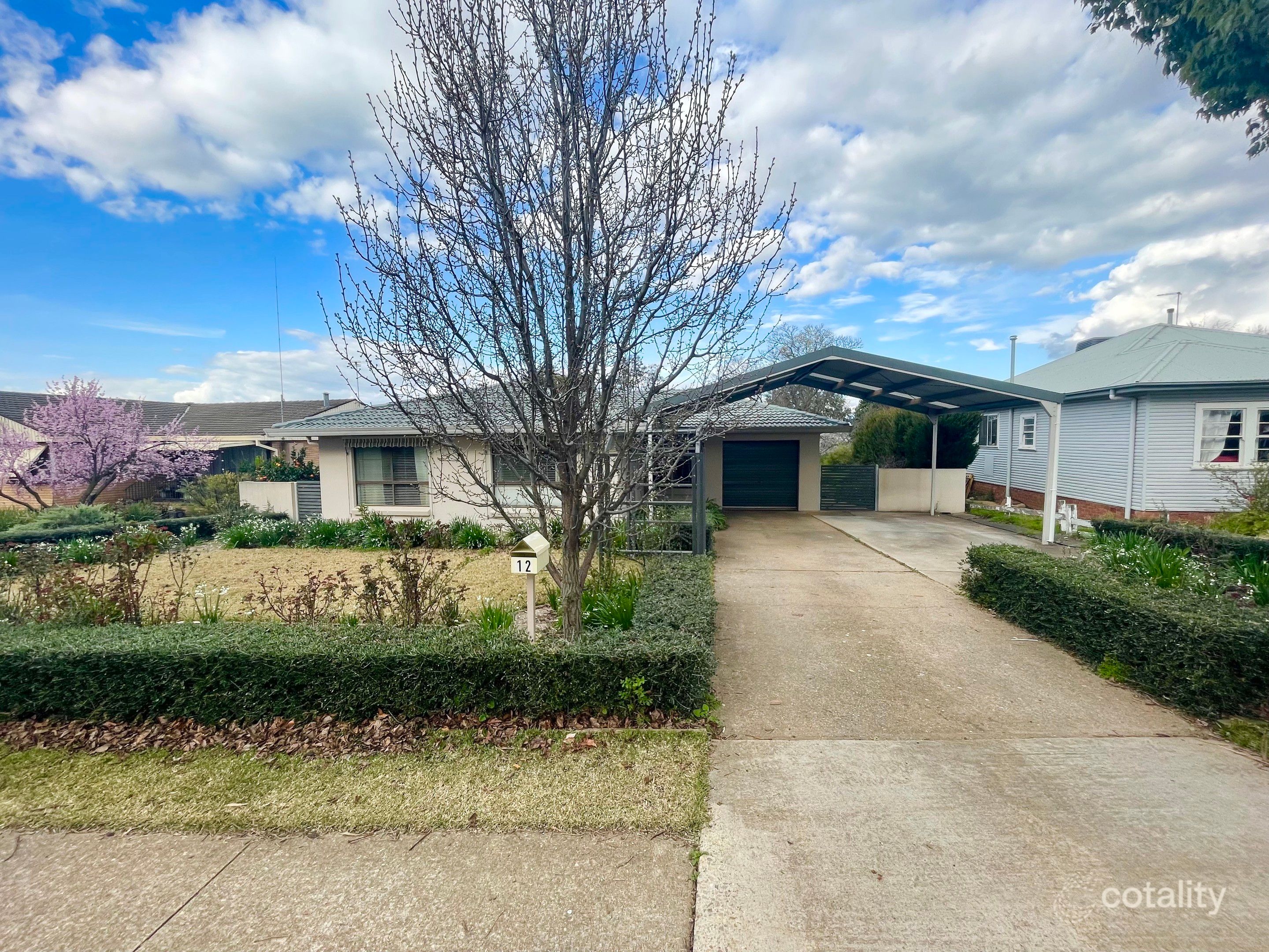 12 Back Creek Rd, Young, NSW 2594