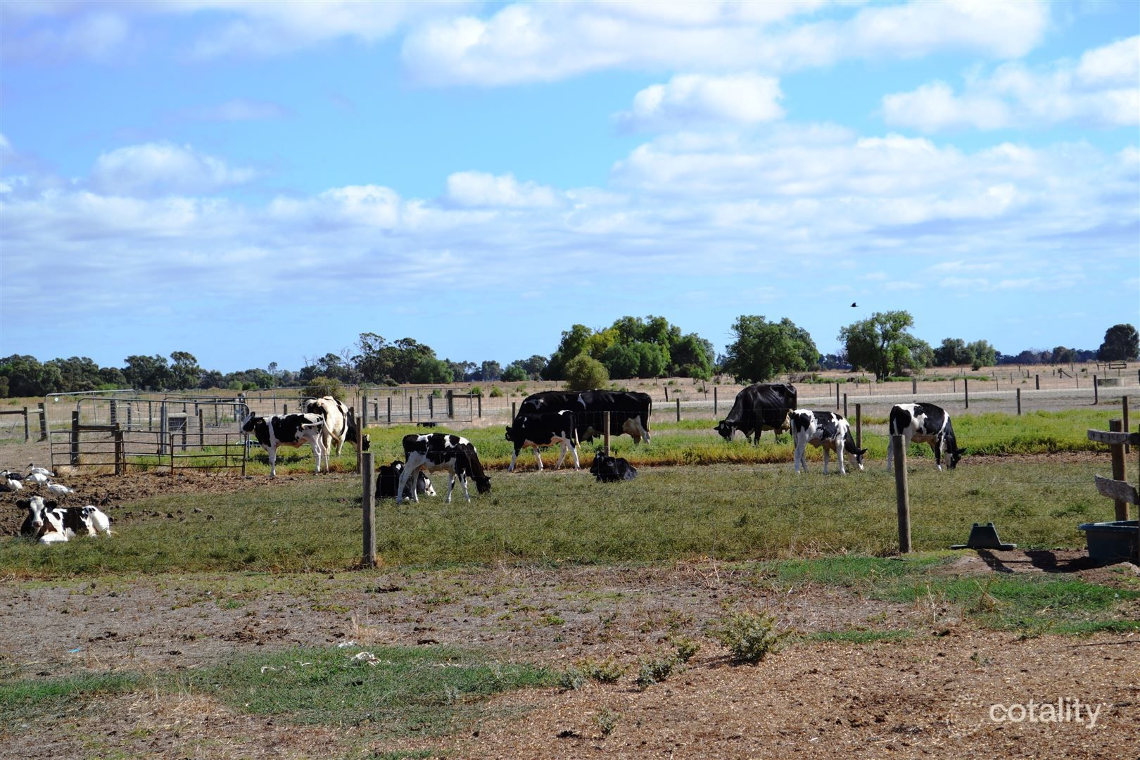 285 Mead Post Office Rd, Mead, VIC 3568