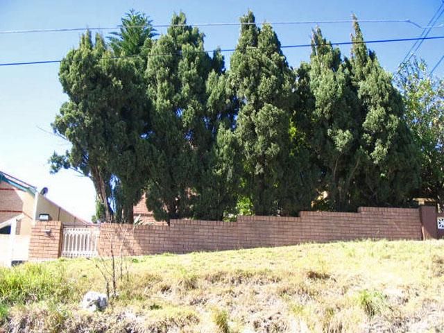 57 Robey St, Maroubra, NSW 2035