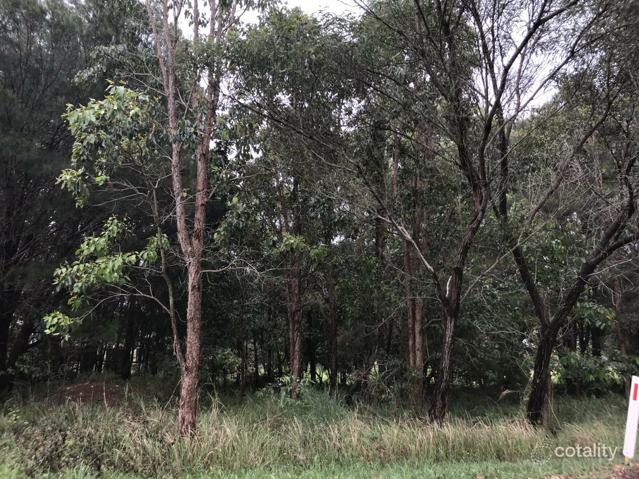 49 Camena St, Macleay Island, QLD 4184