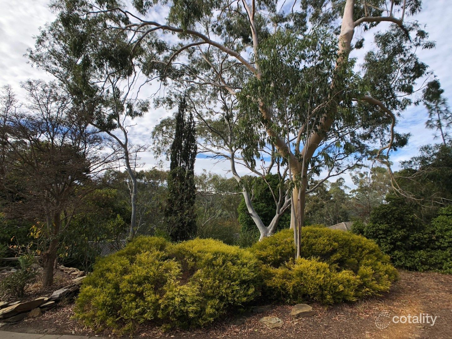 1 Rankeys Hill Rd, Hawthorndene, SA 5051