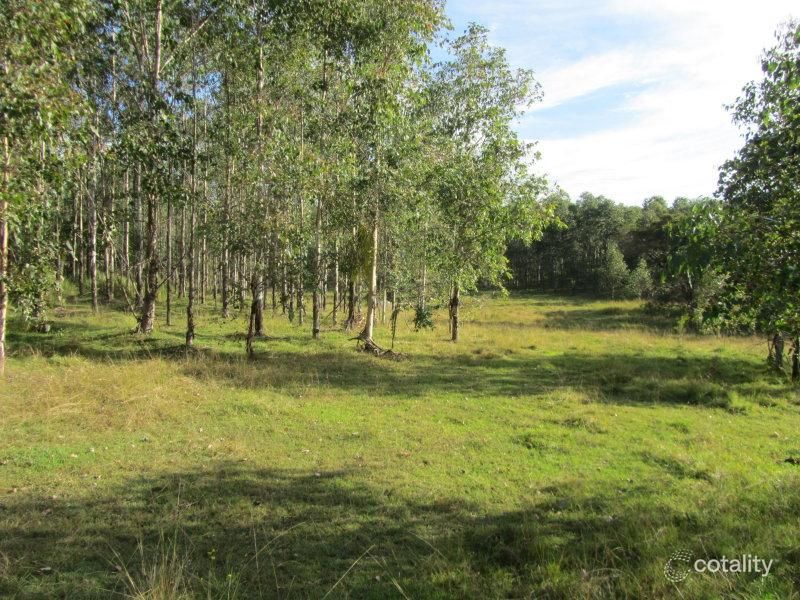 2509 Old Glen Innes Rd, Buccarumbi, NSW 2460