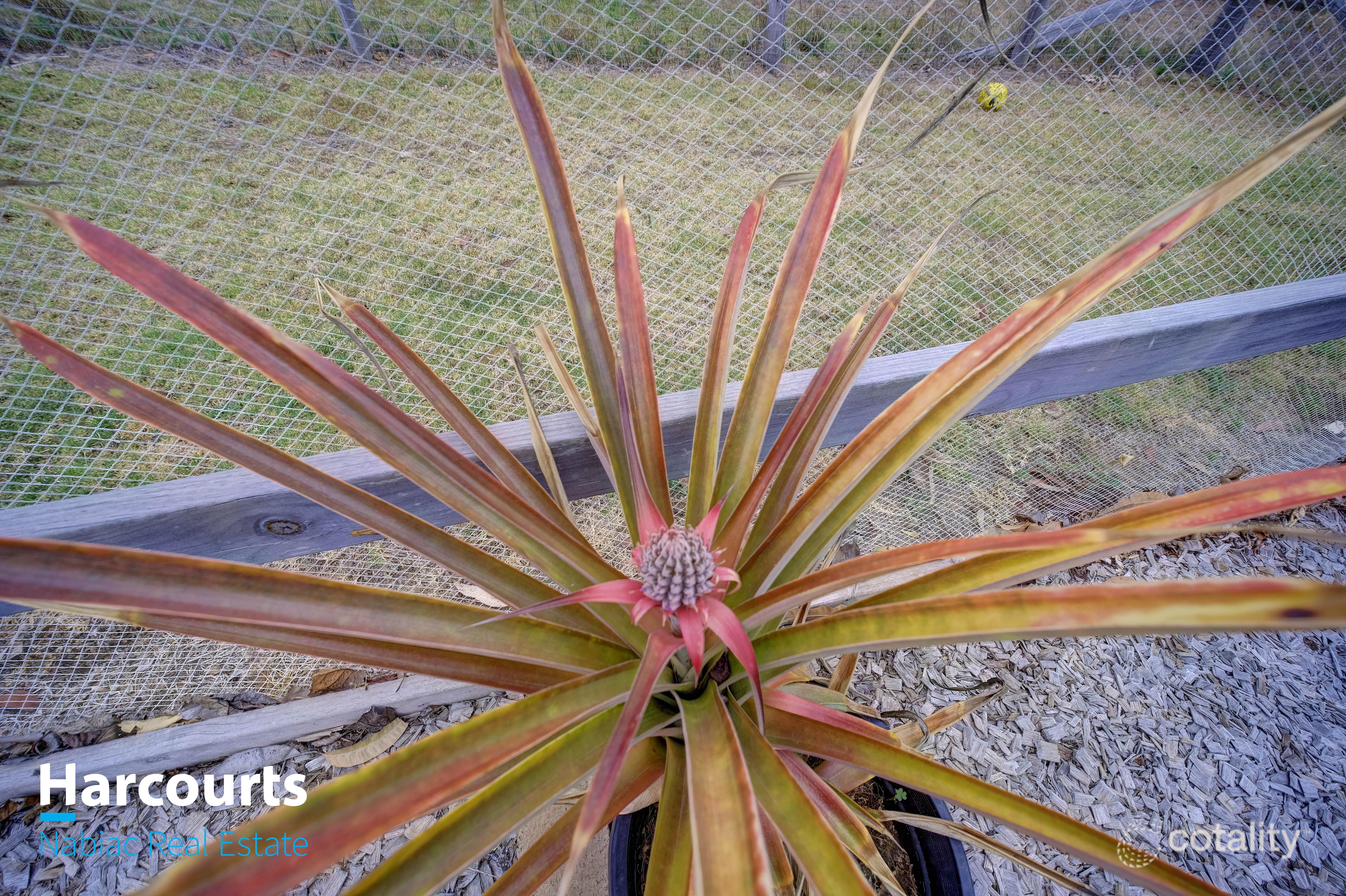 872 Wang Wauk Rd, Wang Wauk, NSW 2423