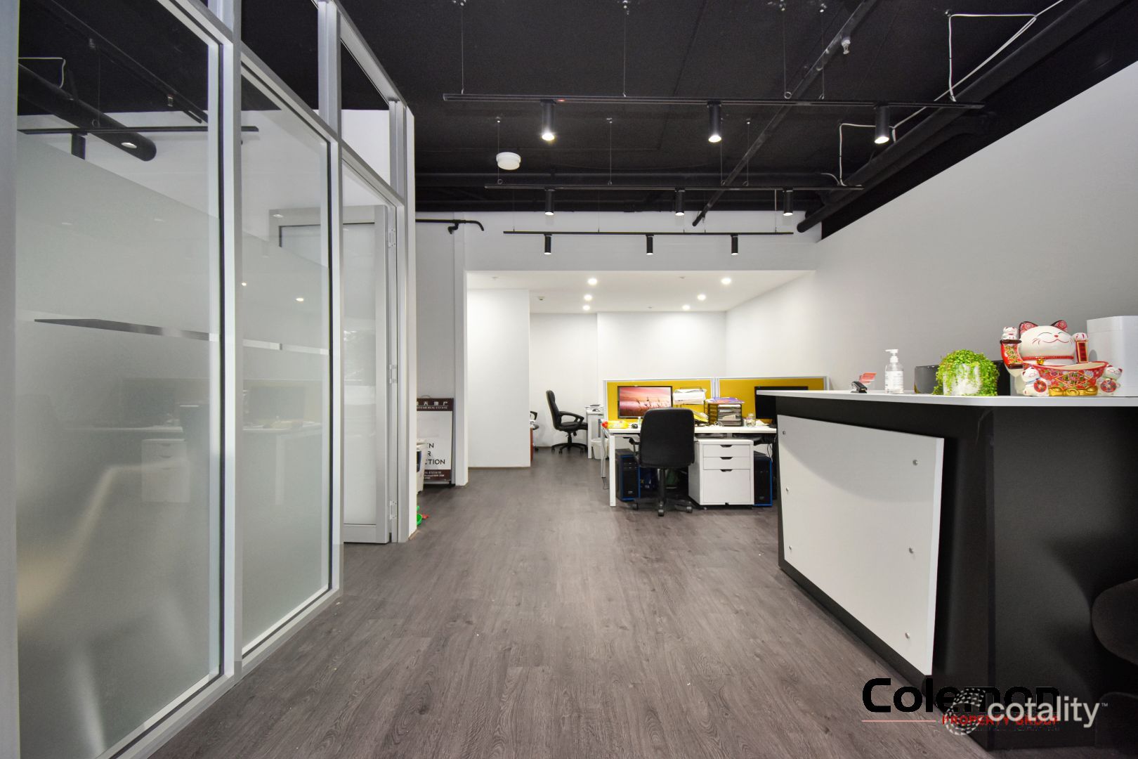 7/209 Canterbury Rd, Canterbury, NSW 2193