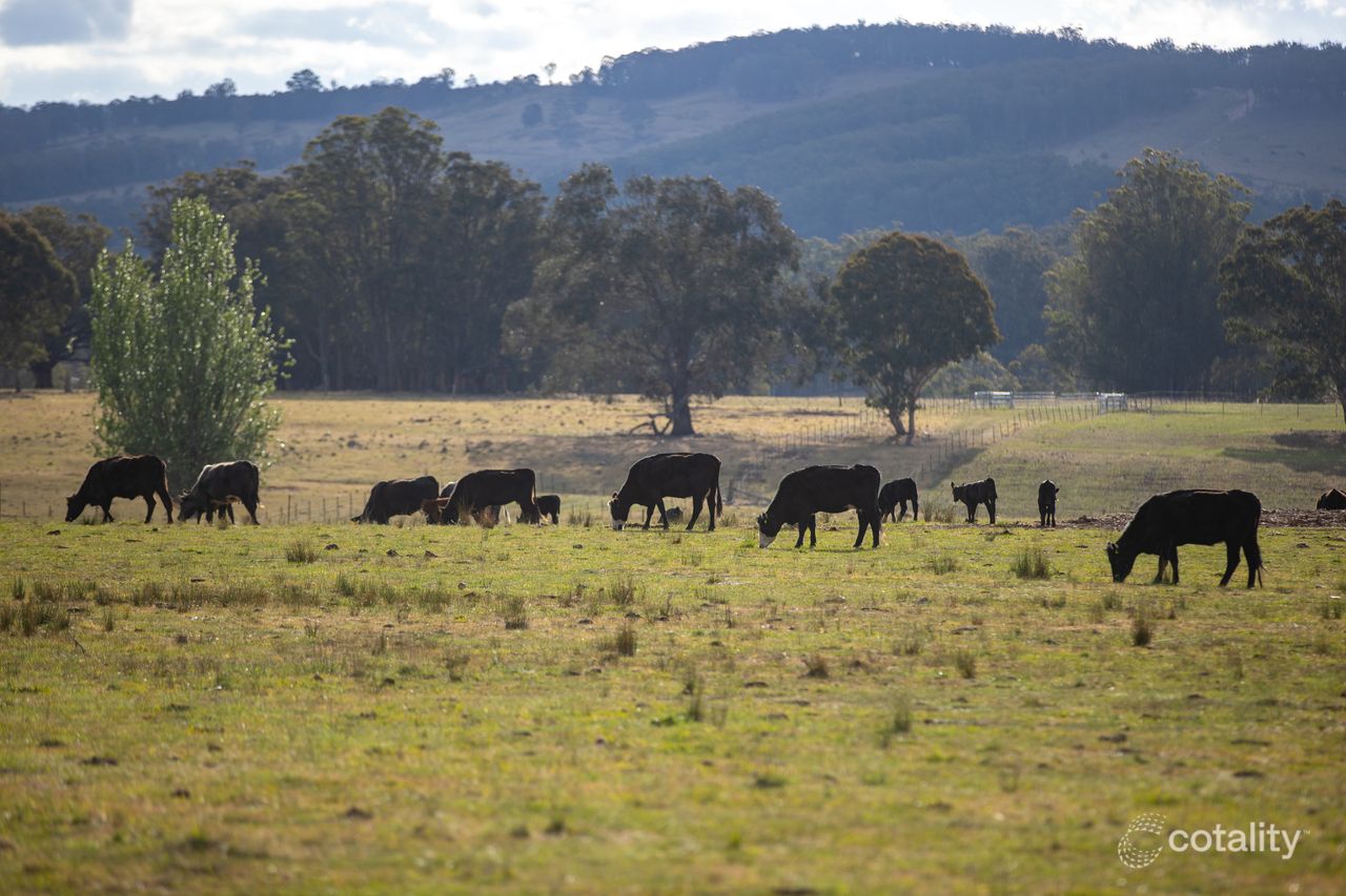 700 Oaklands Rd, Yarrowitch, NSW 2354