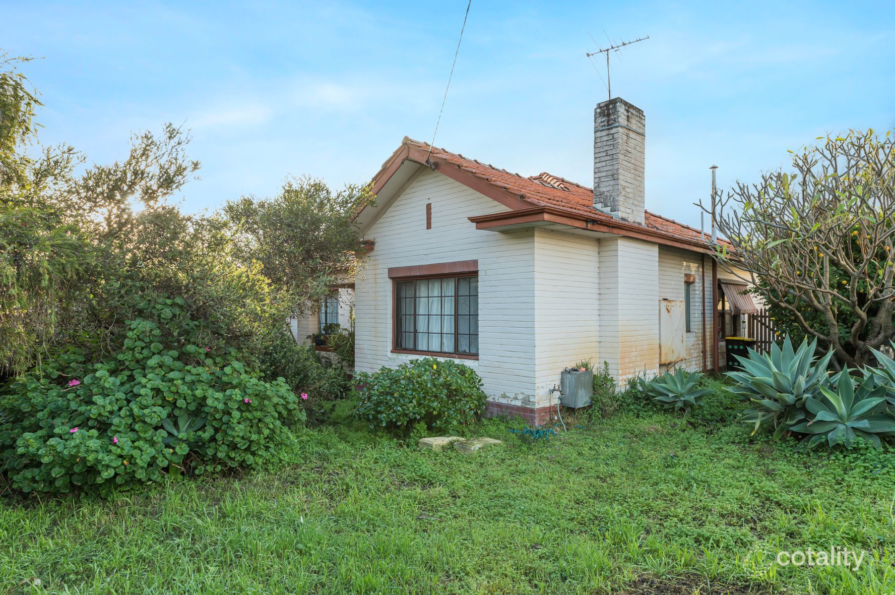 54 Tasman St, Mount Hawthorn, WA 6016