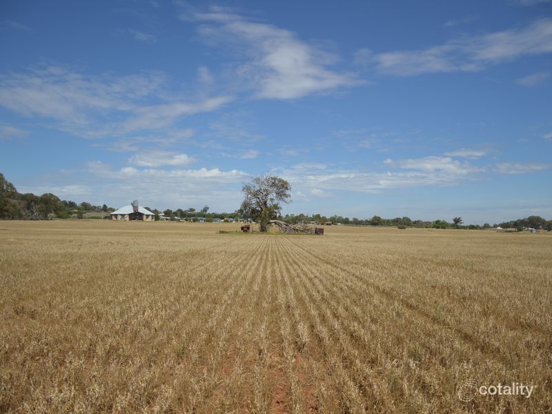 59 Snelsons Lane, Gulgong, NSW 2852