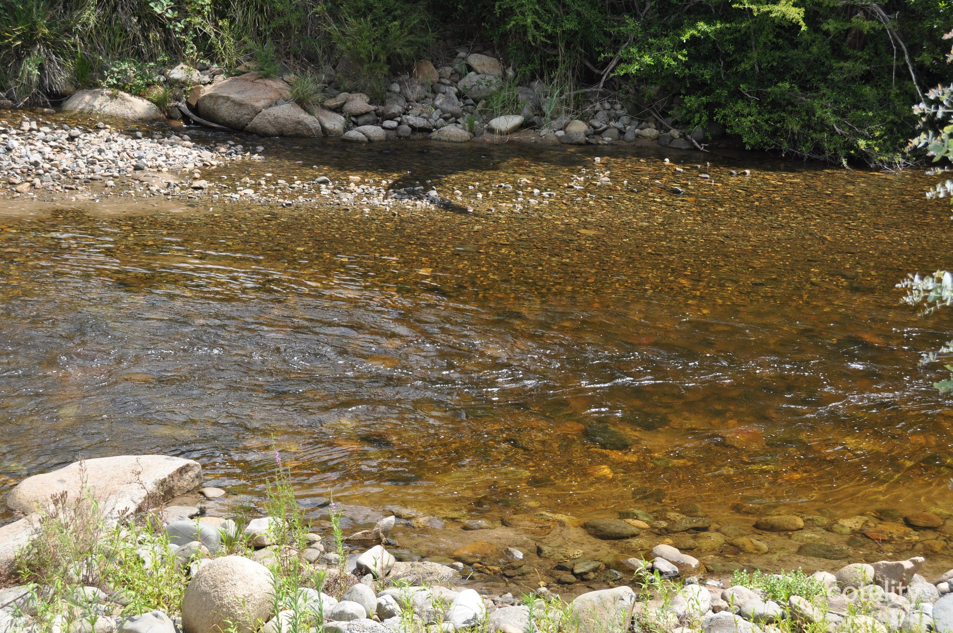 1261 Goobarragandra Rd, Goobarragandra, NSW 2720