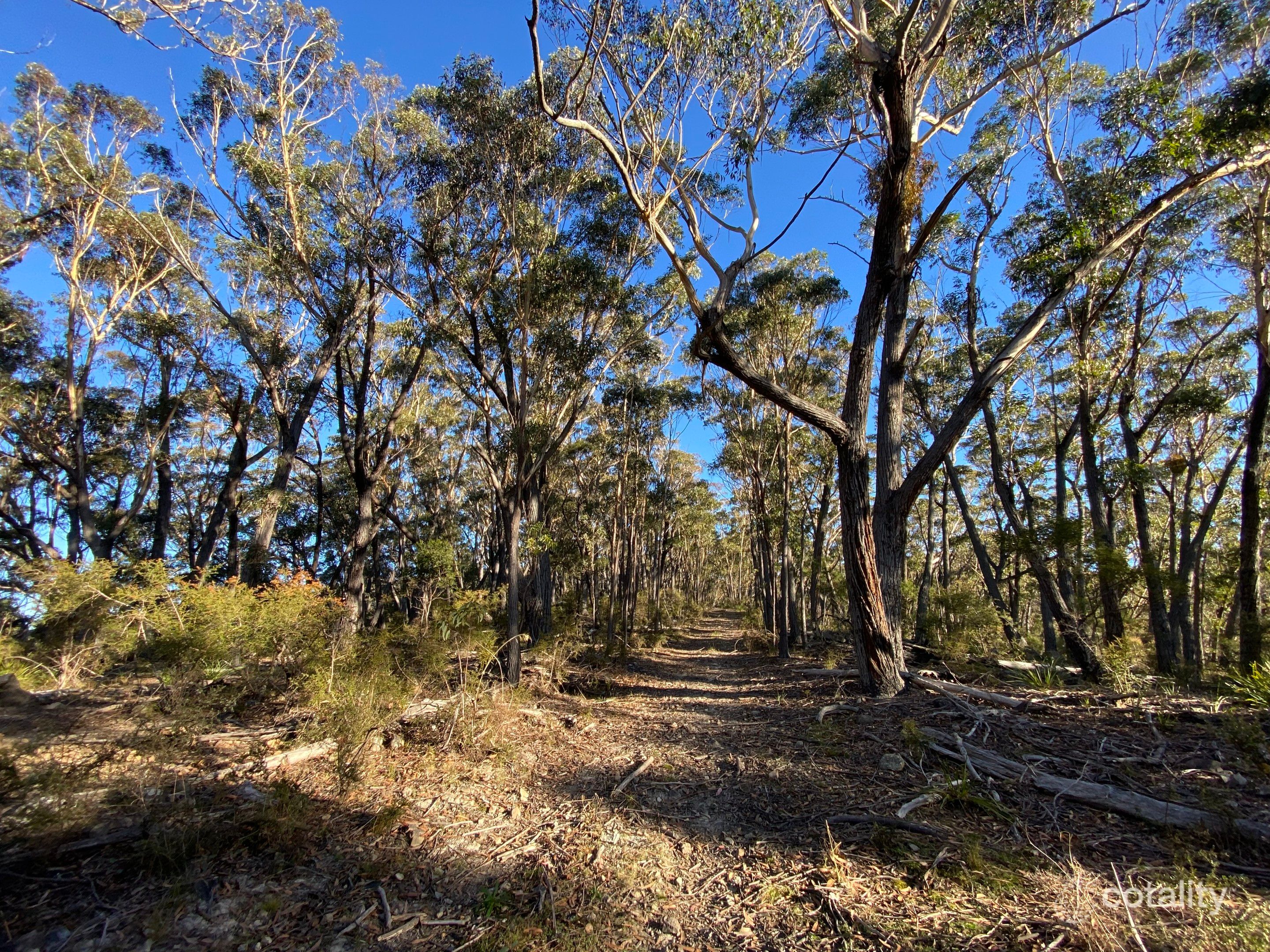 6 Silver Top Lane, Krawarree, NSW 2622