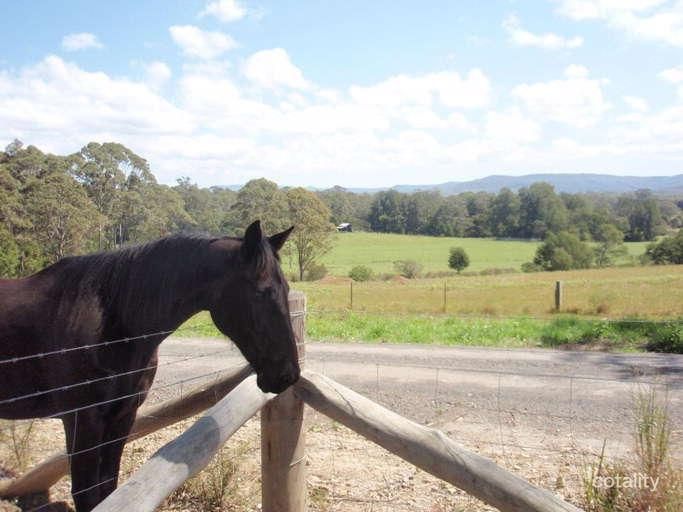 55a Hayward Rd, Wandandian, NSW 2540