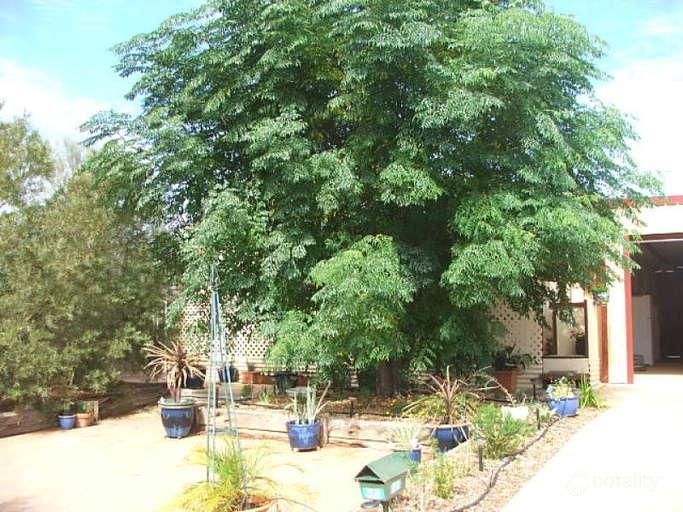 24 Myall St, Roxby Downs, SA 5725