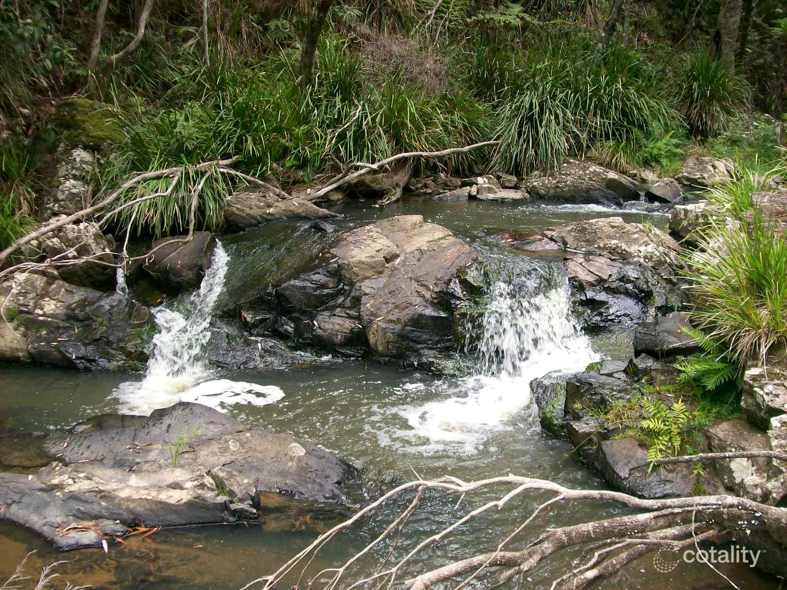 776 Lower Bielsdown Rd, Tallowwood Ridge, NSW 2453