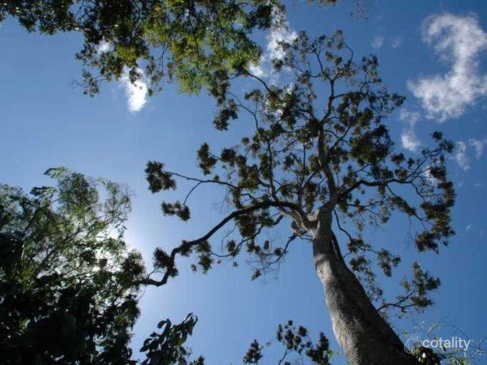 278 Murphy Rd, Captain Creek, QLD 4677