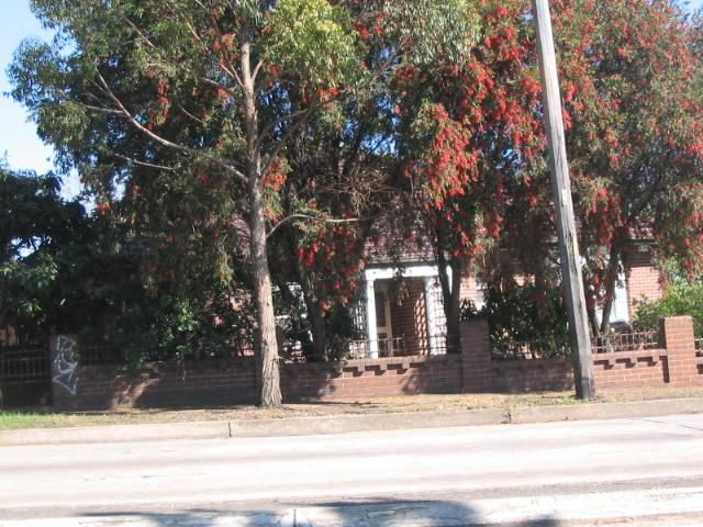 13/389-391 Liverpool Rd, Strathfield, NSW 2135