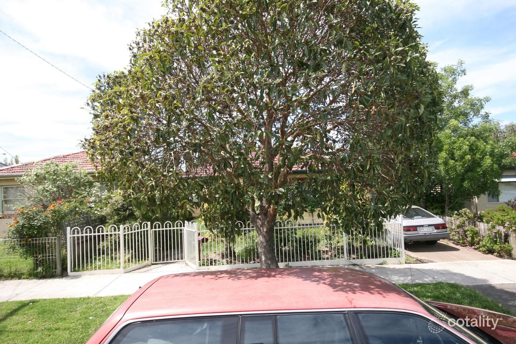 24 Evans St, Belmont, VIC 3216