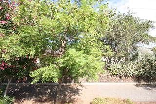 43a Catherine St, Lower Mitcham, SA 5062