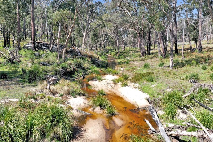 1224 Mount Mckenzie Rd, Tenterfield, NSW 2372