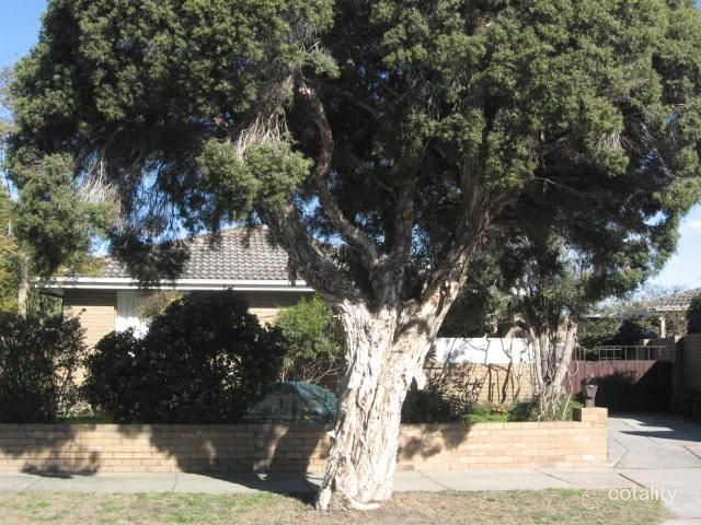 8 Cobain St, Keysborough, VIC 3173