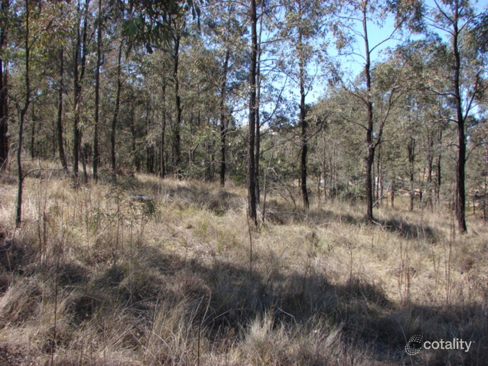 7 Shearer'S Cl, Muswellbrook, NSW 2333