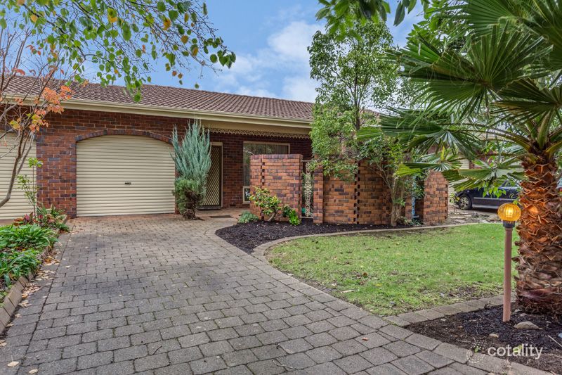 3/17 Greer St, Unley Park, SA 5061