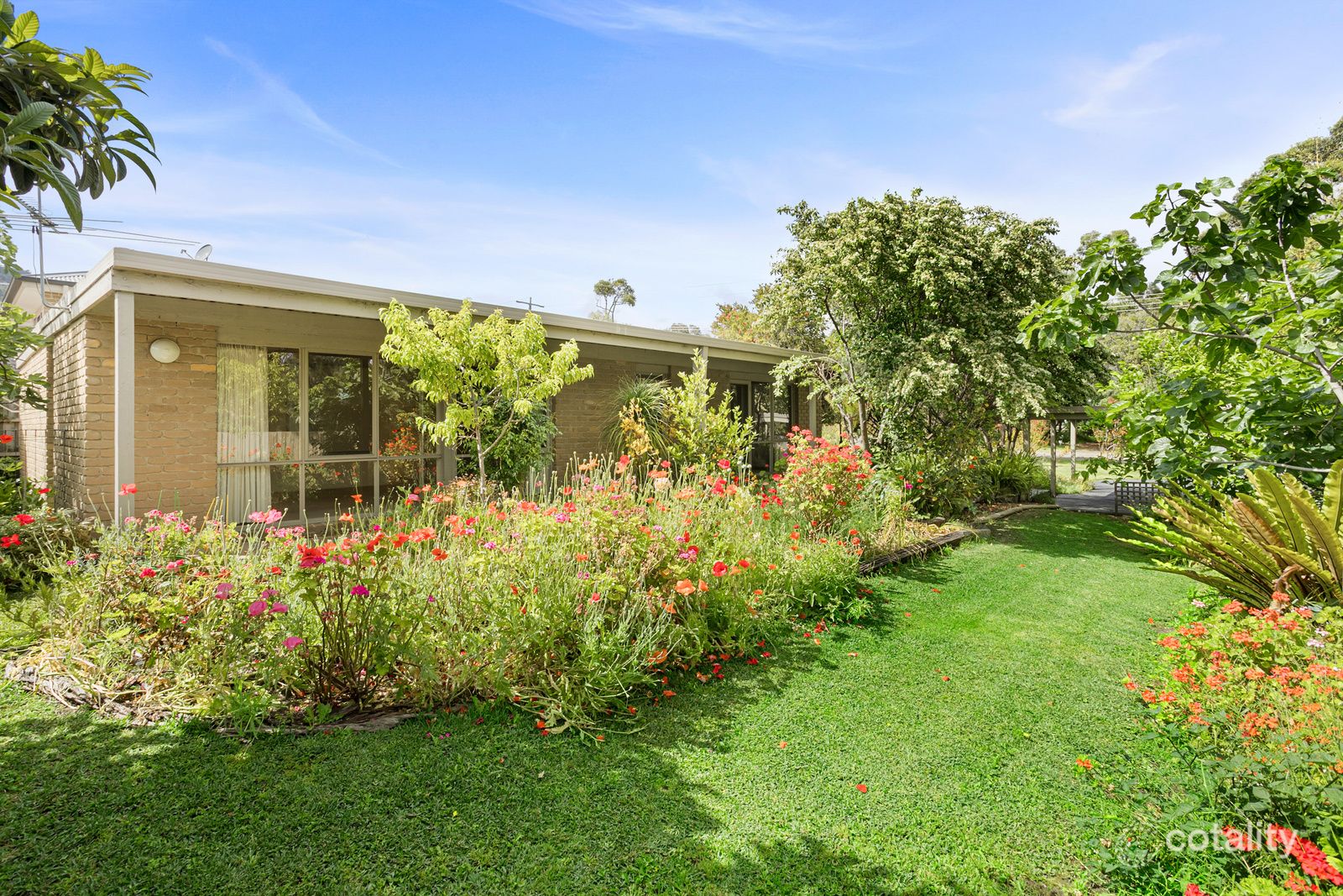 25 The Avenue, Mccrae, VIC 3938
