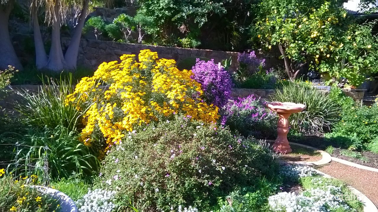 54 Watsonia Rd, Gooseberry Hill, WA 6076