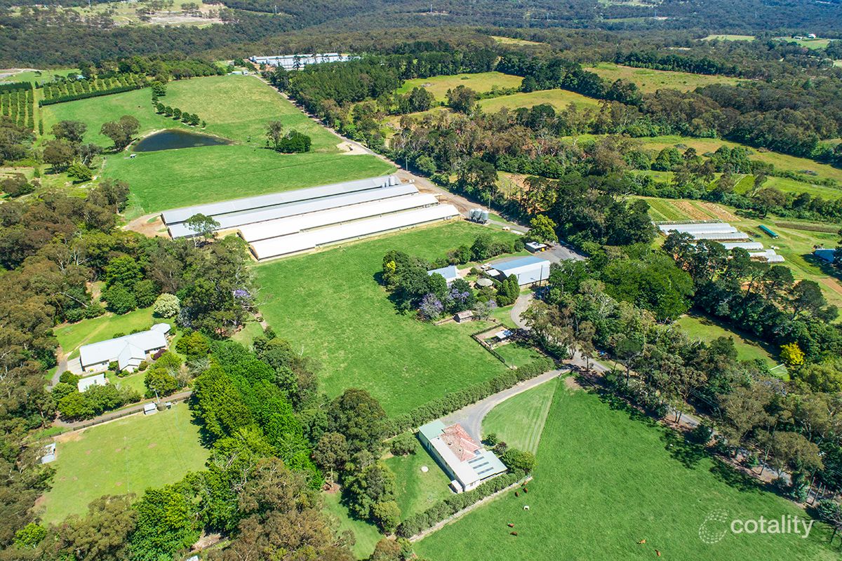 1166 Peats Ridge Rd, Peats Ridge, NSW 2250